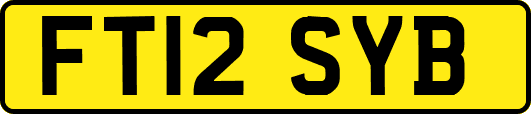 FT12SYB