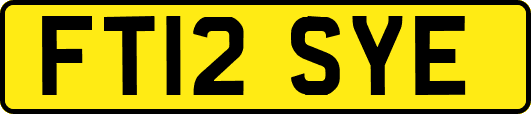 FT12SYE