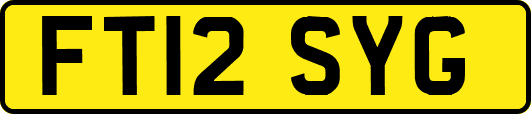 FT12SYG