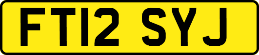 FT12SYJ