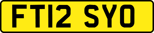 FT12SYO