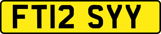 FT12SYY