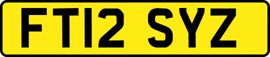 FT12SYZ