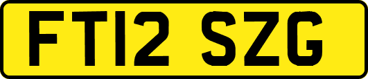 FT12SZG