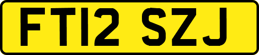 FT12SZJ