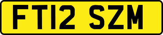 FT12SZM
