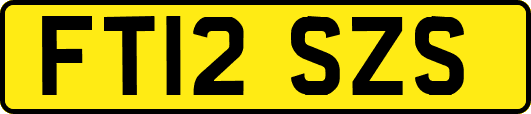 FT12SZS