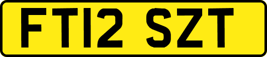 FT12SZT