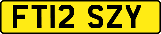 FT12SZY