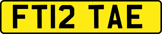 FT12TAE