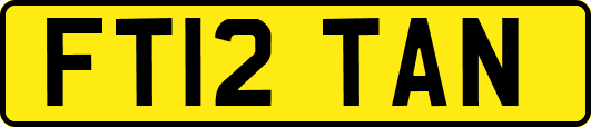 FT12TAN