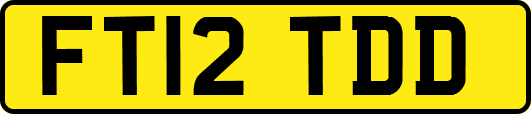 FT12TDD