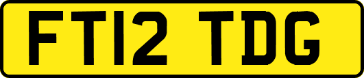 FT12TDG