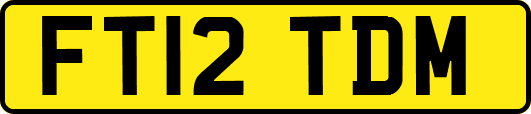 FT12TDM