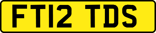 FT12TDS