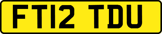 FT12TDU