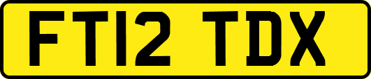 FT12TDX