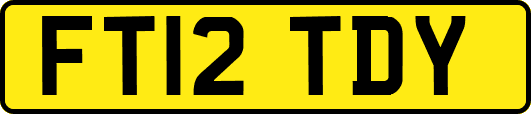 FT12TDY