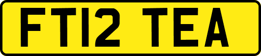 FT12TEA