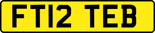 FT12TEB