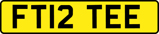FT12TEE
