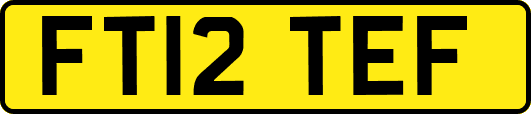 FT12TEF