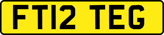 FT12TEG