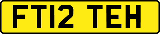 FT12TEH
