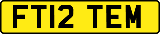 FT12TEM