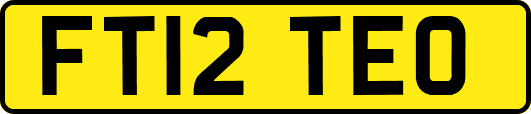 FT12TEO