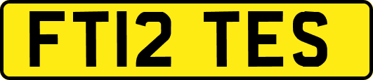 FT12TES