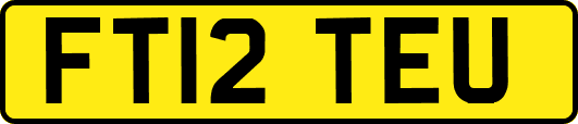 FT12TEU