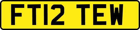 FT12TEW