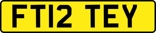 FT12TEY