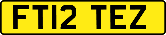 FT12TEZ