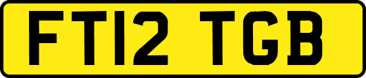 FT12TGB