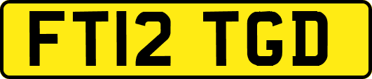 FT12TGD