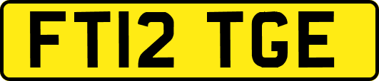 FT12TGE