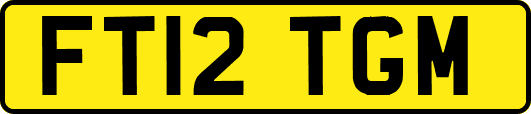 FT12TGM