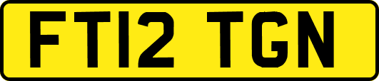 FT12TGN