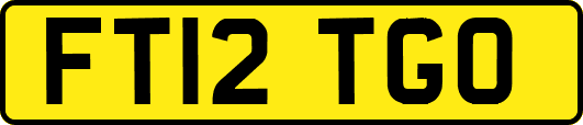 FT12TGO