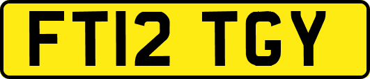 FT12TGY