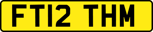 FT12THM
