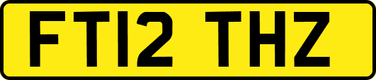 FT12THZ