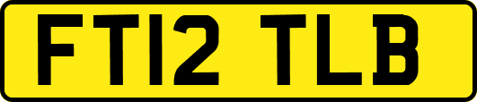 FT12TLB