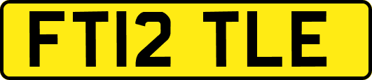 FT12TLE