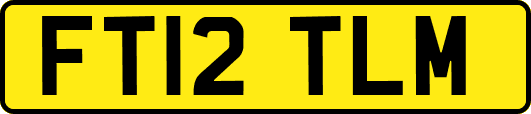FT12TLM