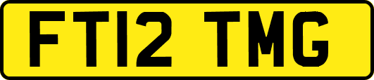 FT12TMG