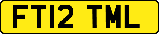 FT12TML