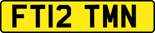 FT12TMN